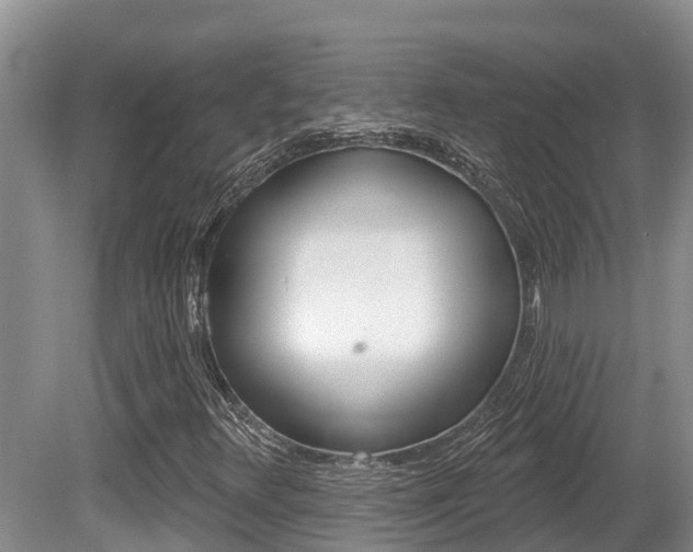 X0000080671348200612150751