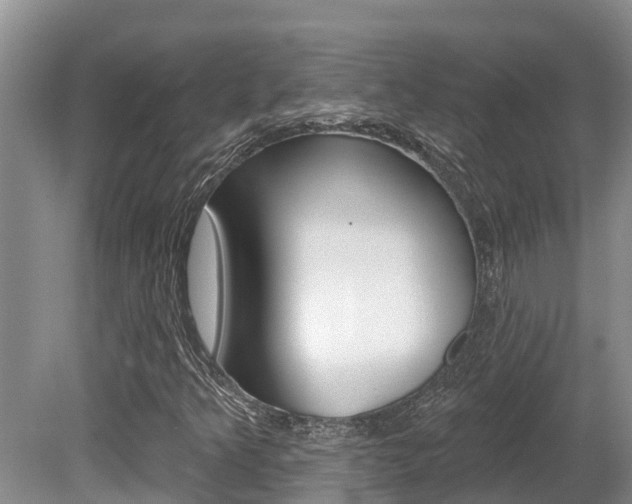 X0000080671349200612150751