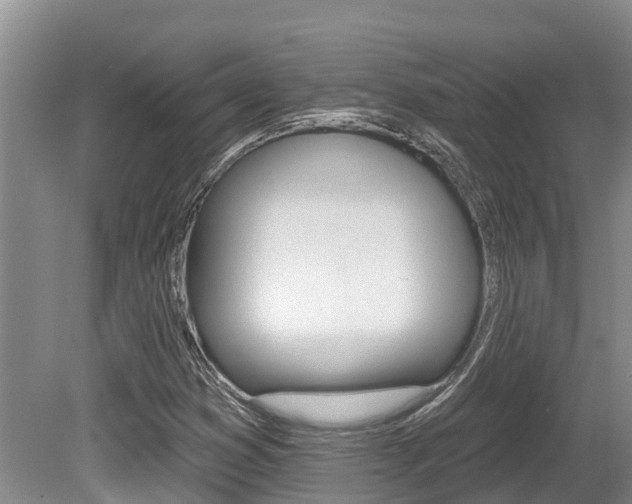 X0000080671353200612150750