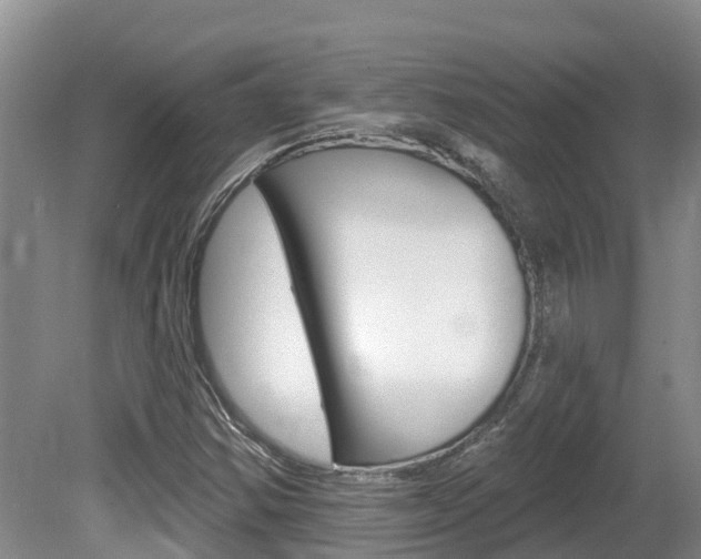 X0000080671354200612150750
