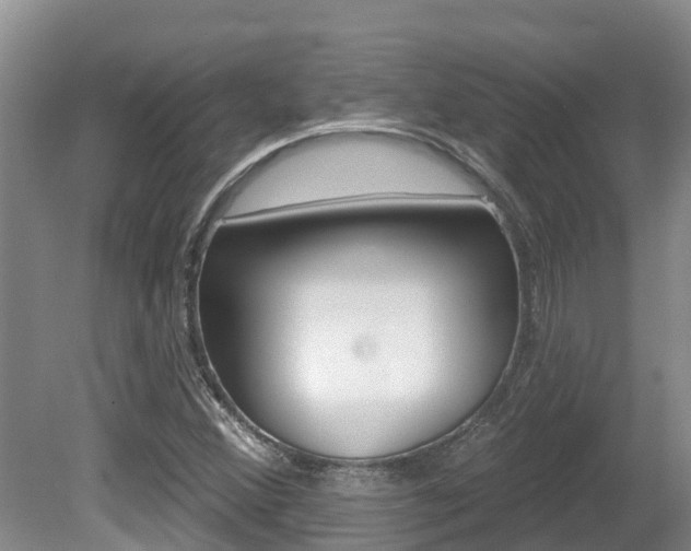 X0000080671356200612150750