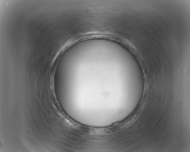 X0000080671357200612150750