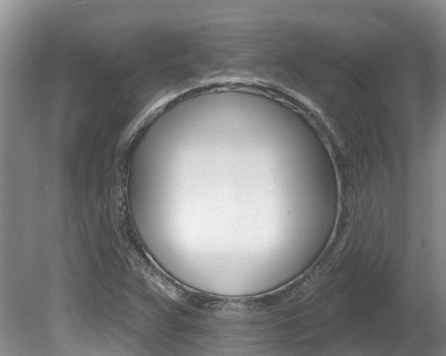 X0000080671359200612150750
