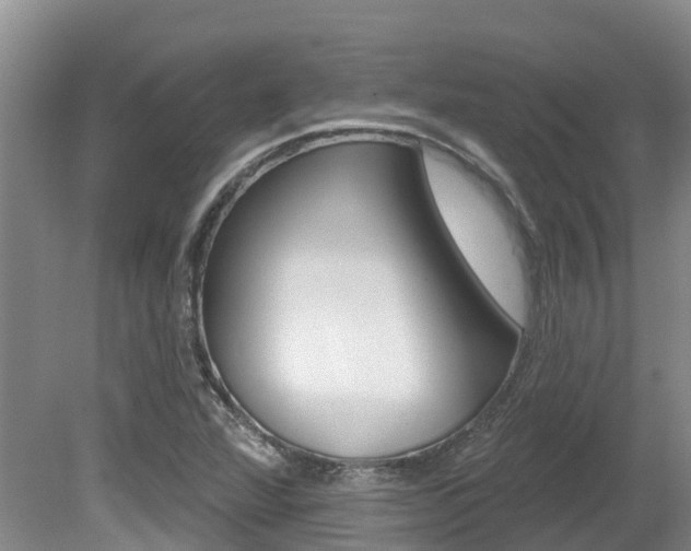 X0000080671360200612150750