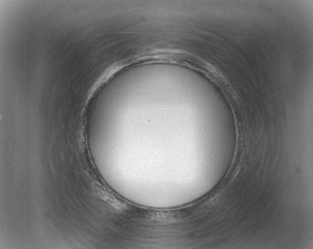 X0000080671362200612150750