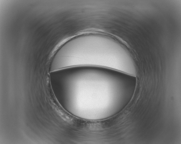 X0000080671363200612150750