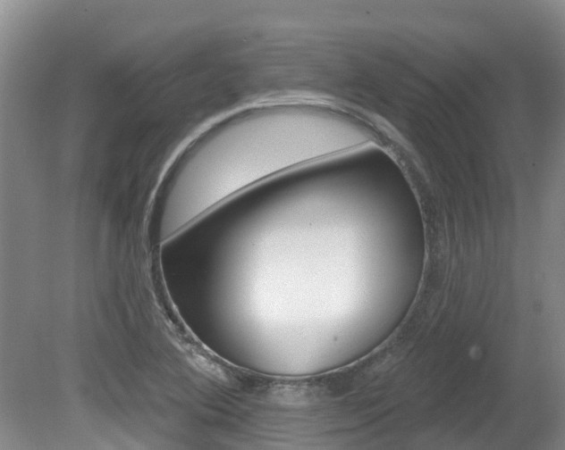 X0000080671364200612150750