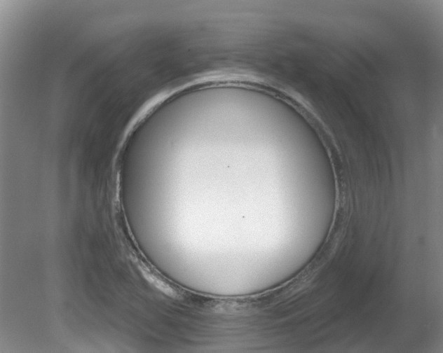 X0000080671366200612150750