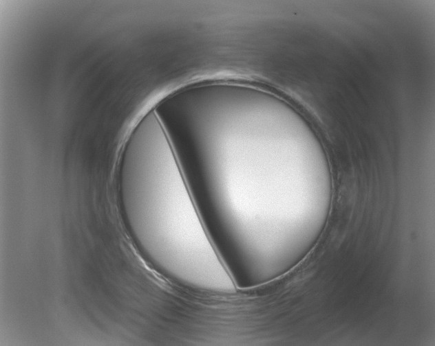X0000080671367200612150750