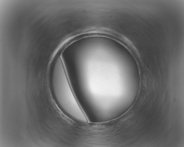 X0000080671368200612150750