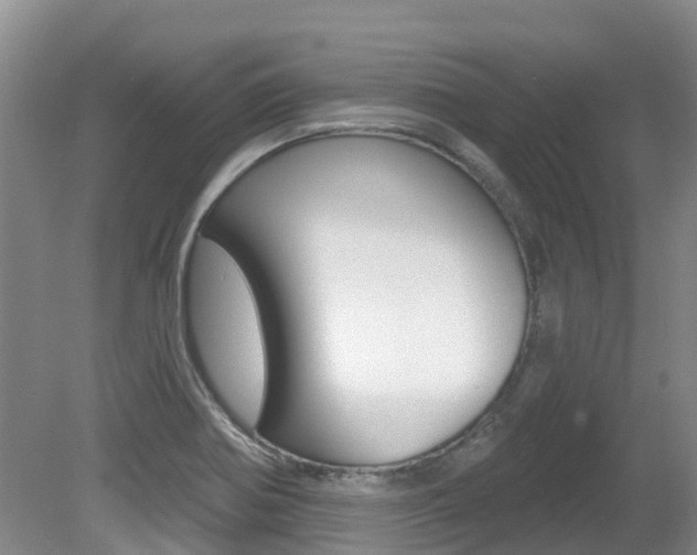 X0000080671370200612150750