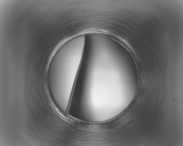 X0000080671371200612150750