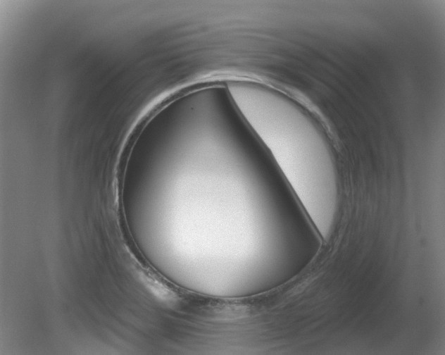 X0000080671372200612150750