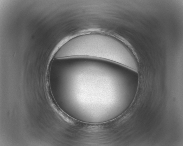 X0000080671373200612150750