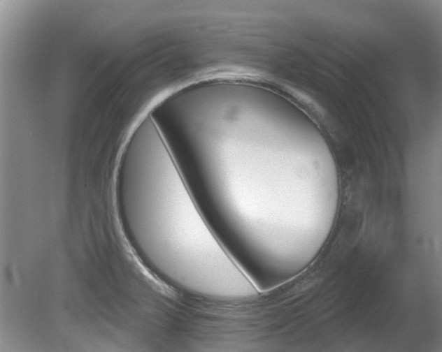 X0000080671375200612150750