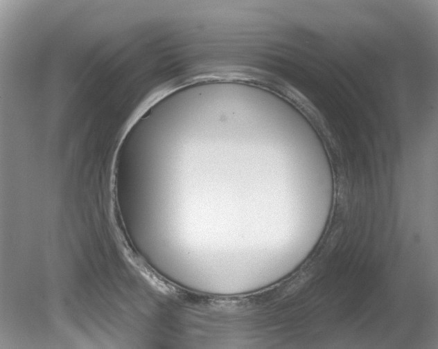 X0000080671378200612150750