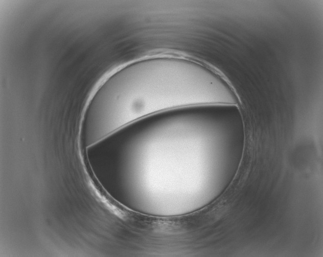 X0000080671379200612150750