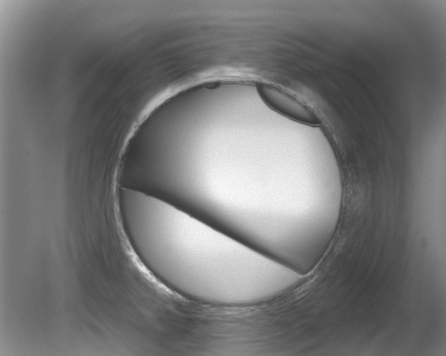 X0000080671382200612150750