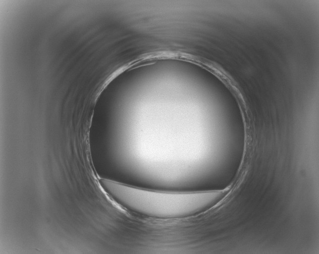 X0000080671385200612150750