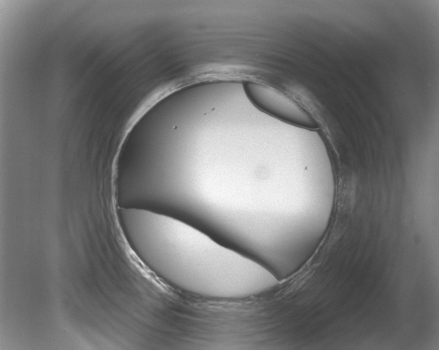X0000080671386200612150750