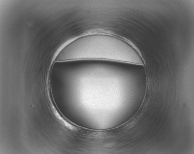 X0000080671387200612150750