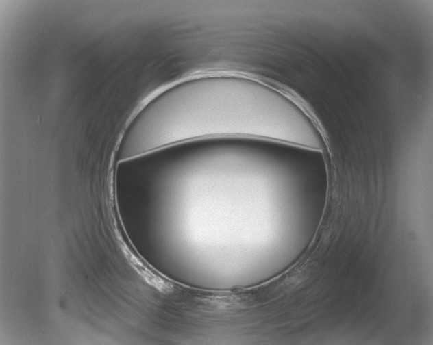 X0000080671388200612150750