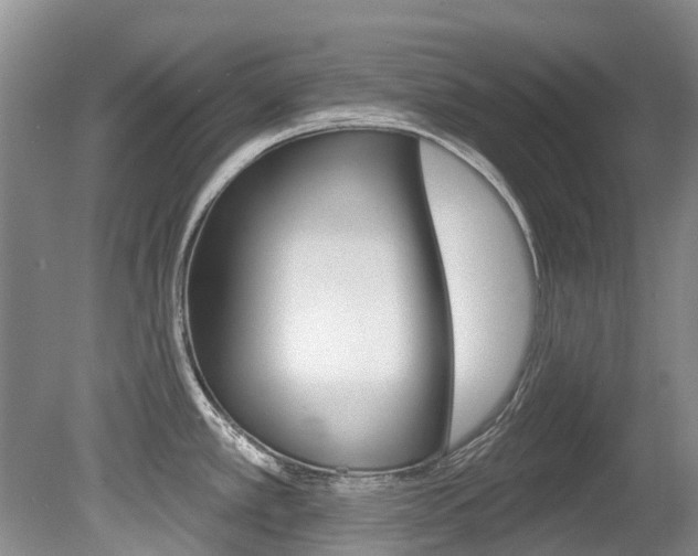 X0000080671389200612150750