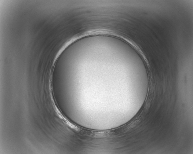 X0000080671390200612150750