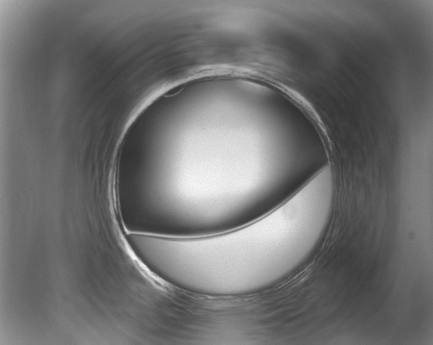 X0000080671391200612150750