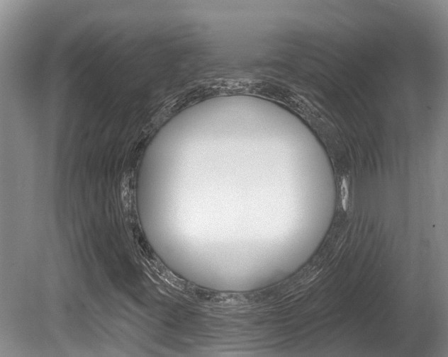 X0000080671395200612150749
