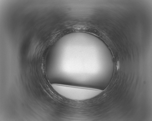 X0000080671396200612150749