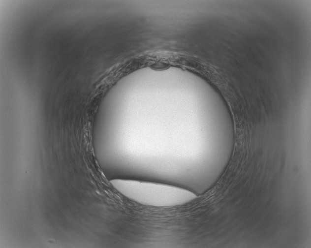 X0000080671397200612150749