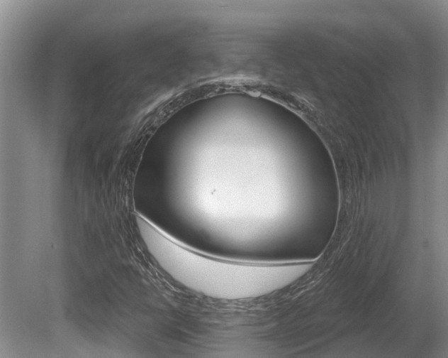 X0000080671398200612150749