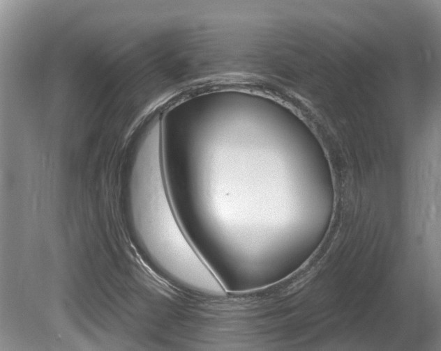 X0000080671402200612150749