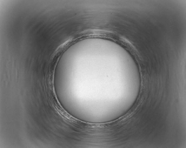 X0000080671403200612150749