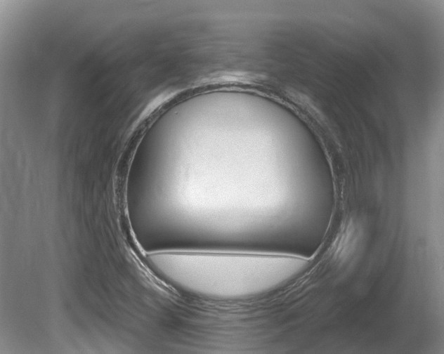 X0000080671404200612150749