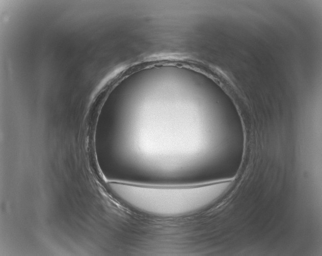 X0000080671406200612150749