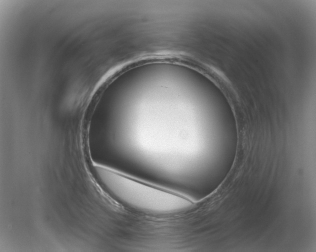 X0000080671412200612150749