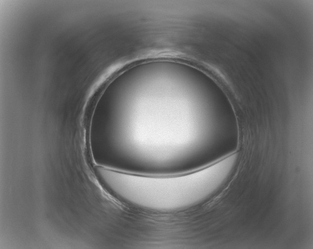 X0000080671414200612150749