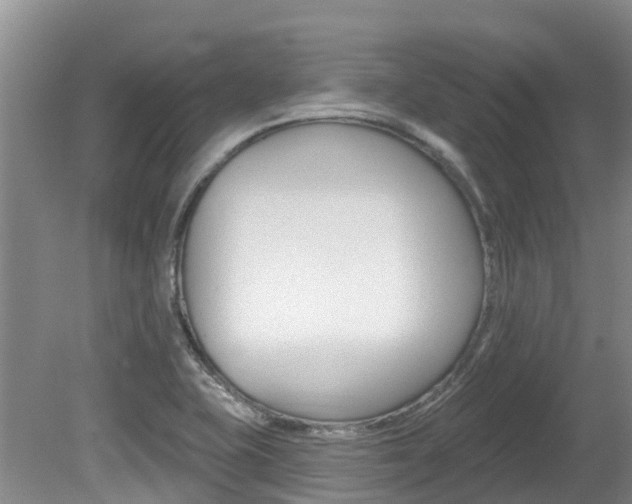 X0000080671415200612150749