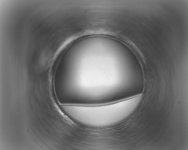 X0000080671416200612150749