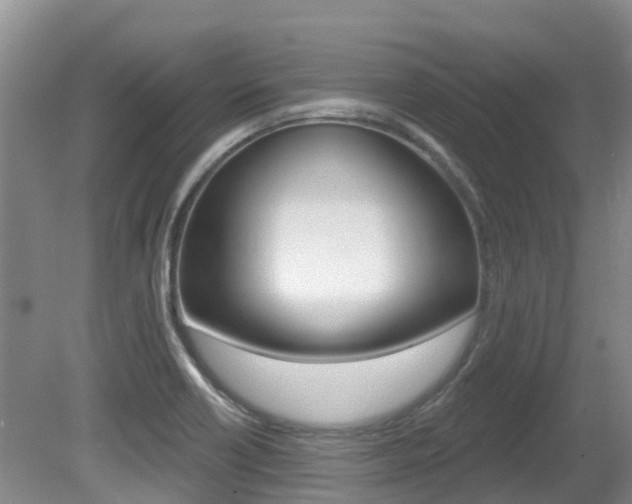 X0000080671418200612150749