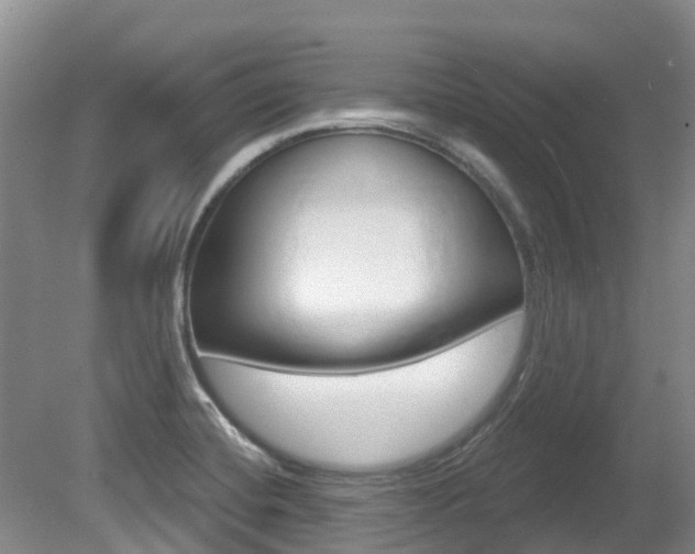 X0000080671420200612150749
