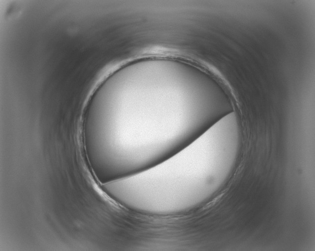 X0000080671421200612150749