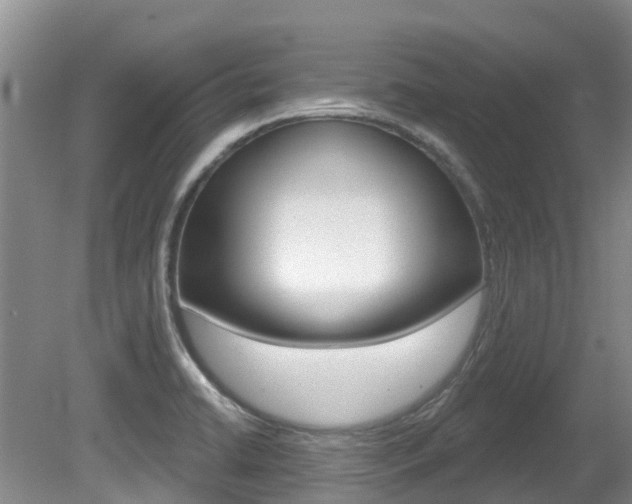 X0000080671422200612150750