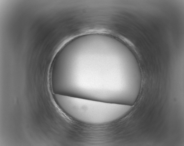 X0000080671423200612150750