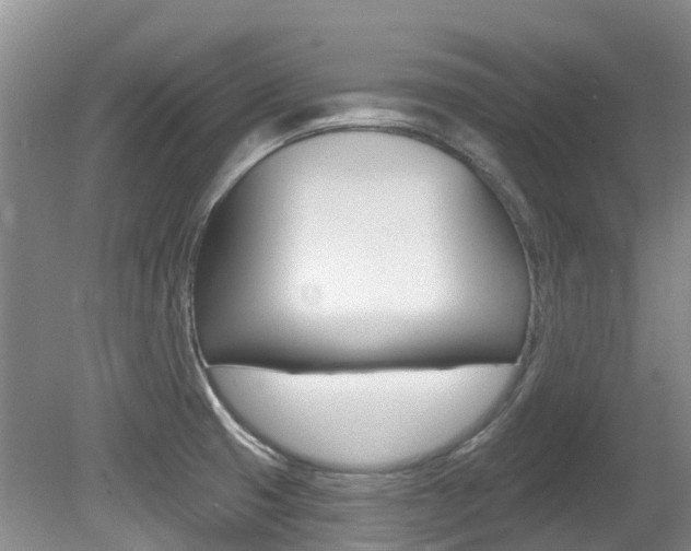 X0000080671425200612150750