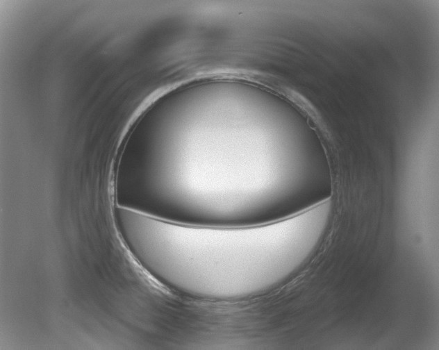 X0000080671428200612150750