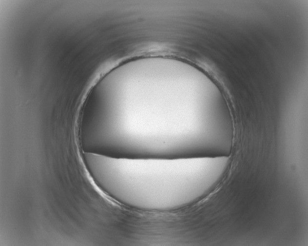 X0000080671429200612150750