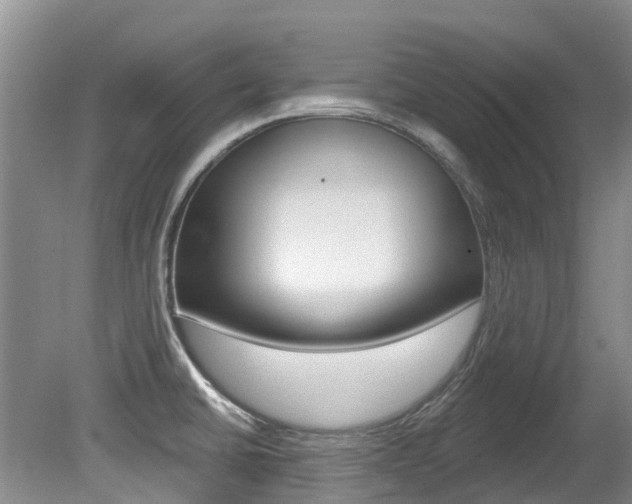 X0000080671430200612150750